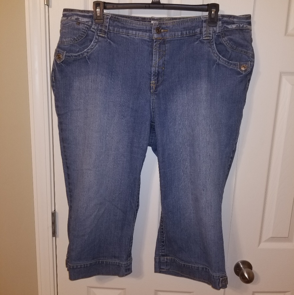 Venenzia (Lane Bryant) Jean capris